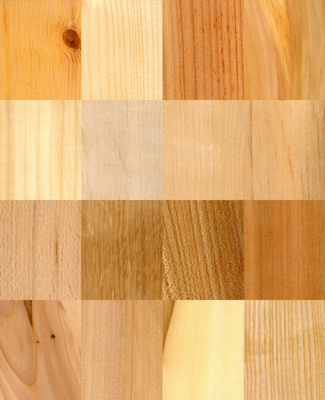 wood-835905_1920.jpg