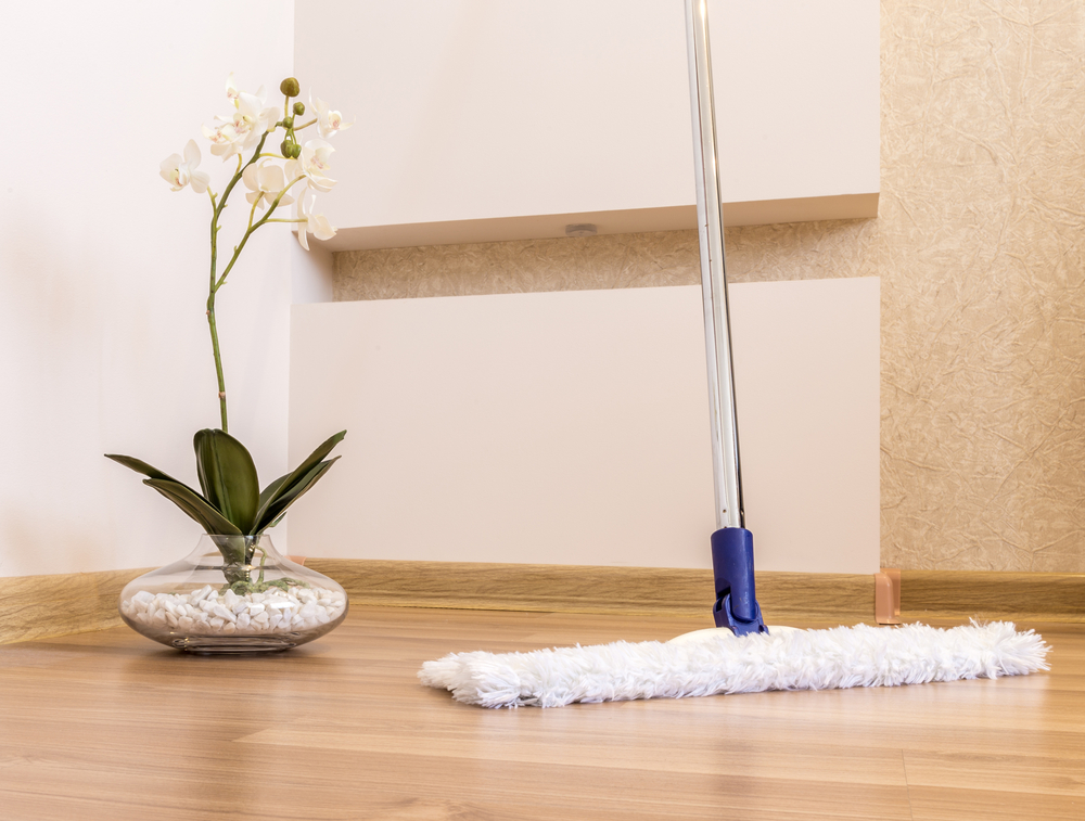 shutterstock_244789111